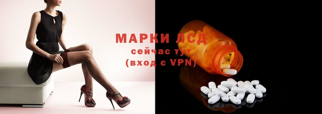 стаф Армянск